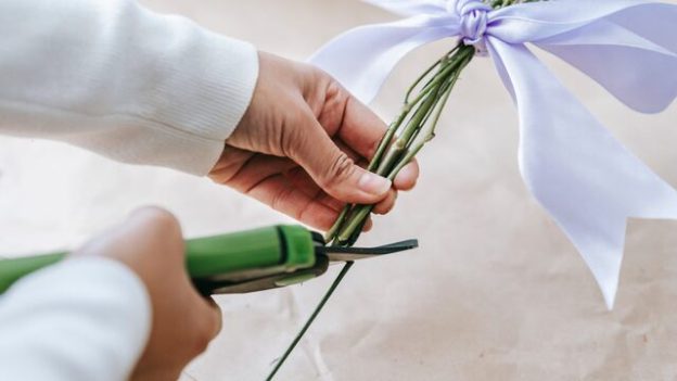 Strategi Launching Produk Kosmetik